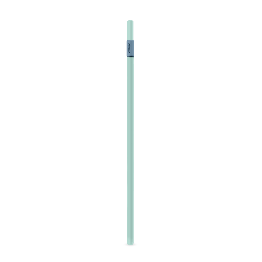 Replacement Straws E8H