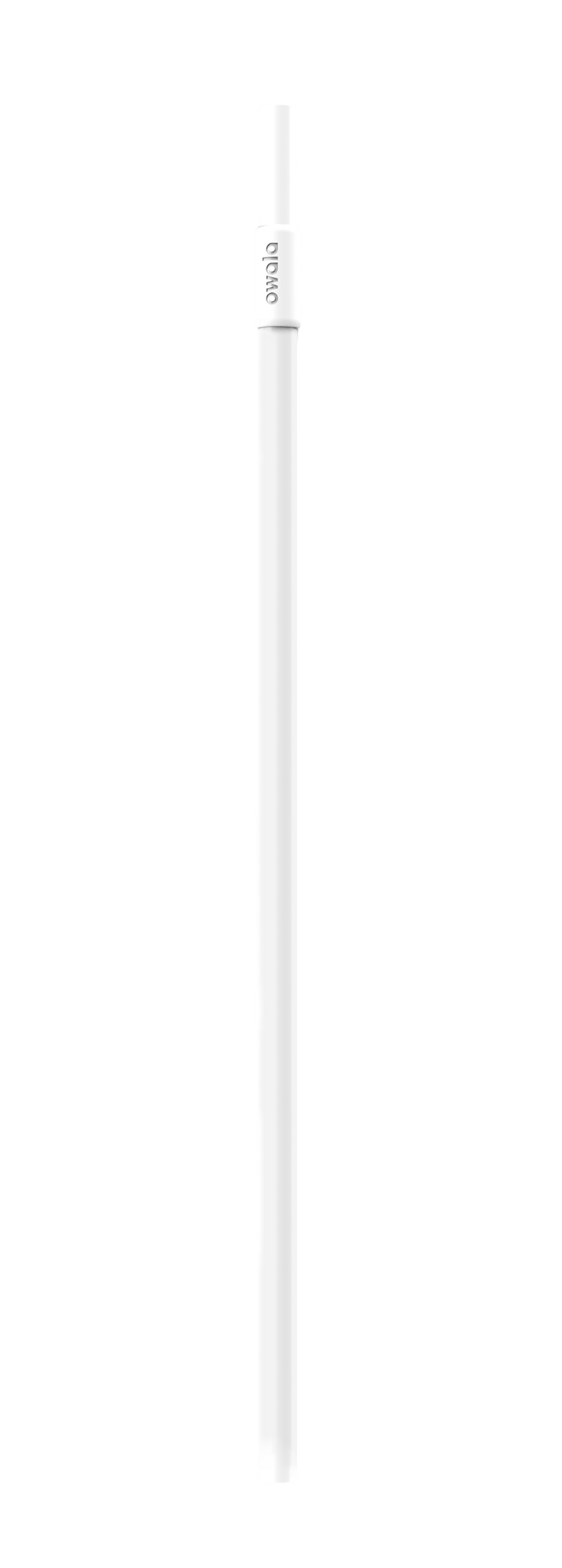 Replacement Straws E8H