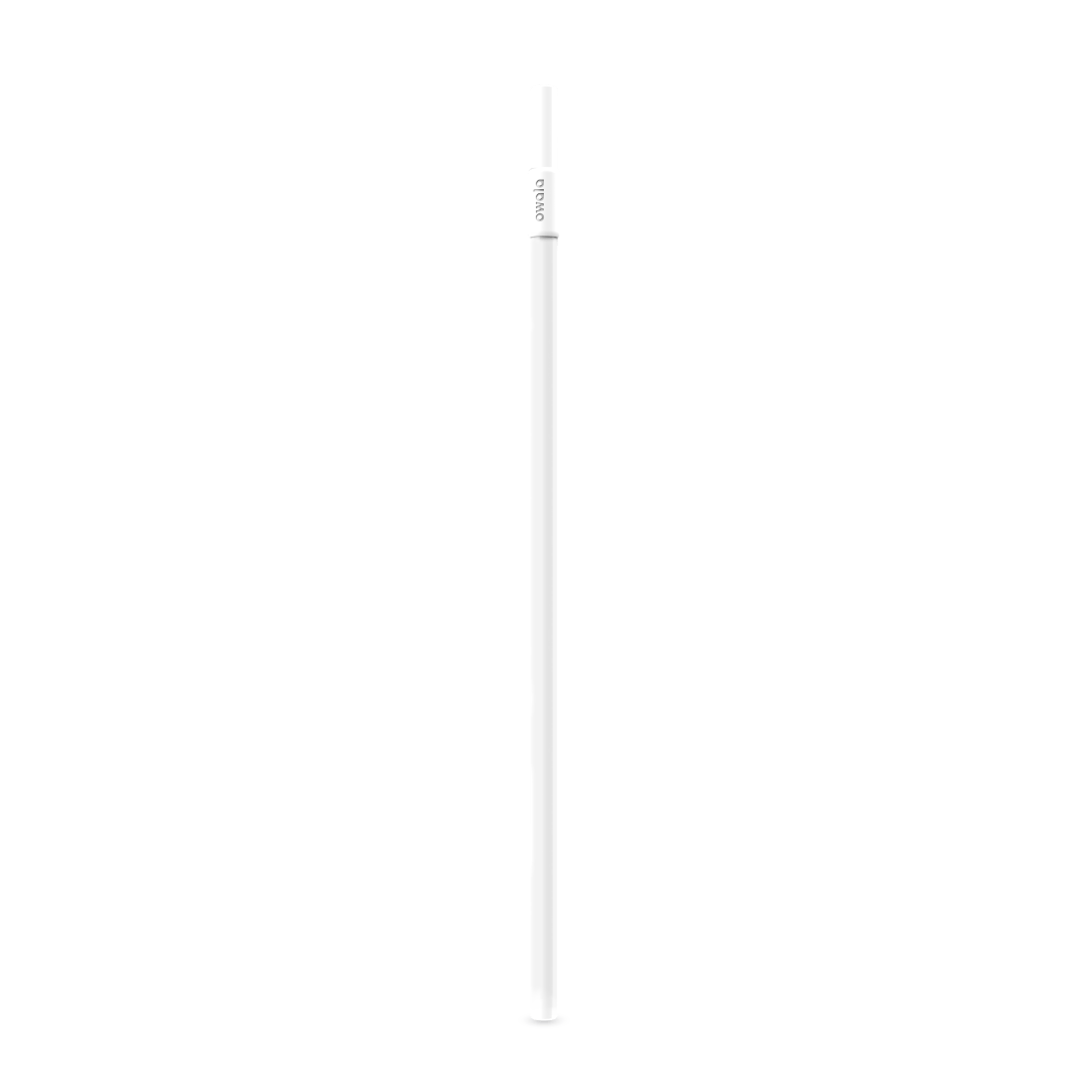 Replacement Straws E8H