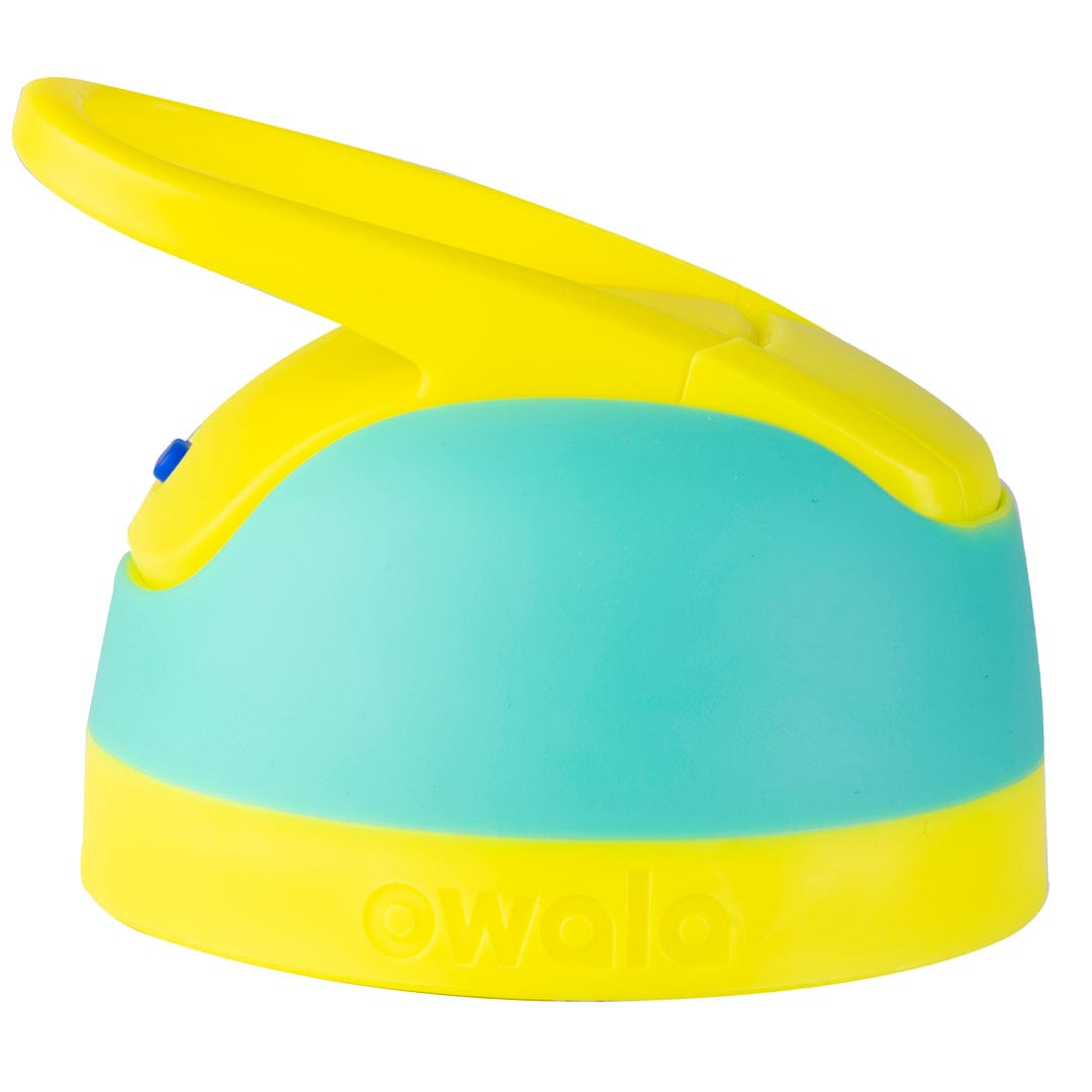 Replacement Lids RLH