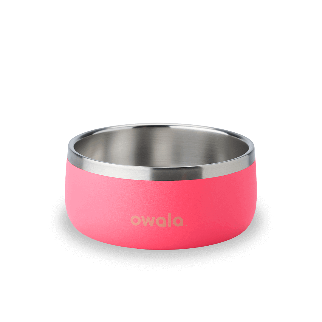 Pet Bowl 87C