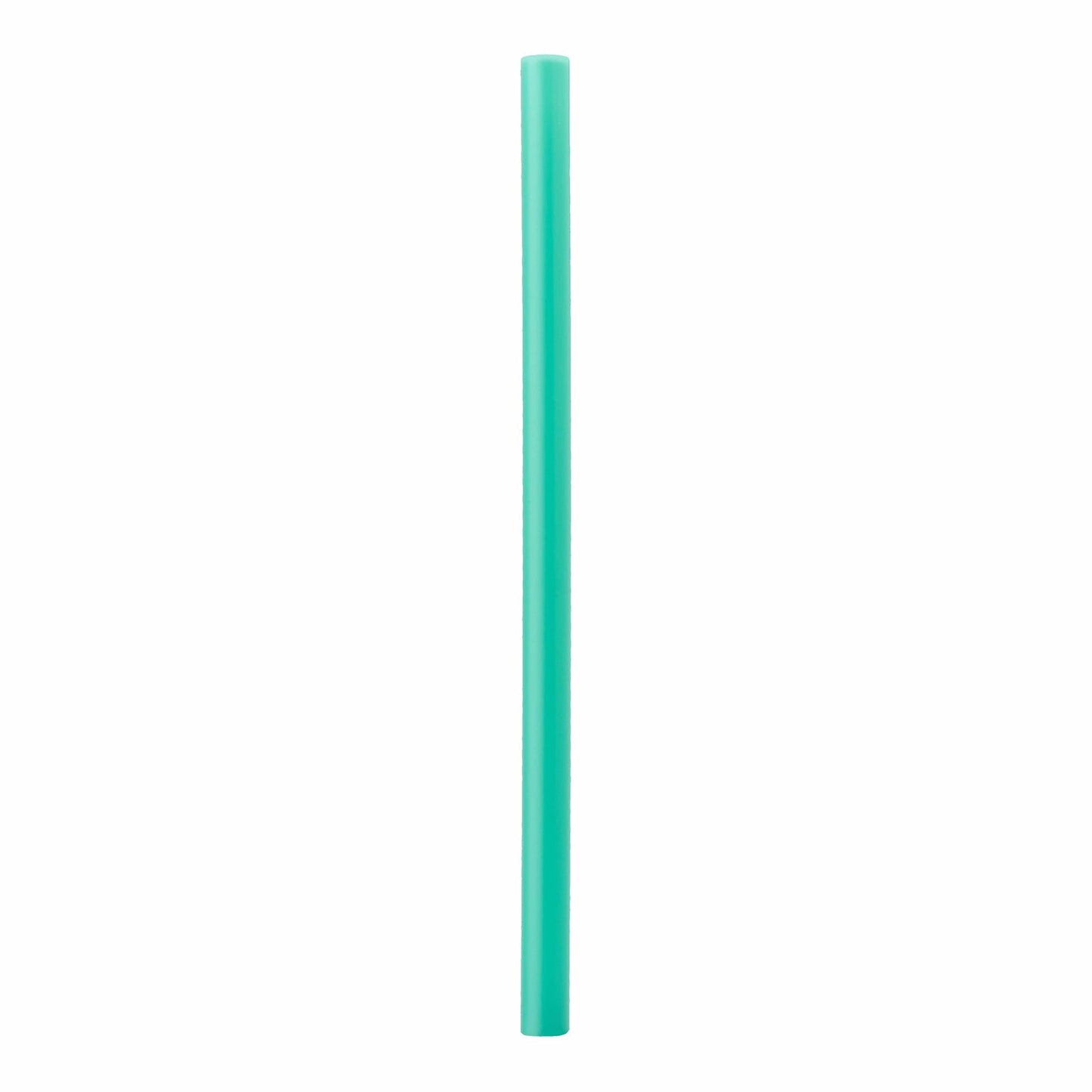 Replacement Straws E8H